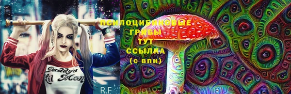 PSILOCYBIN Абинск