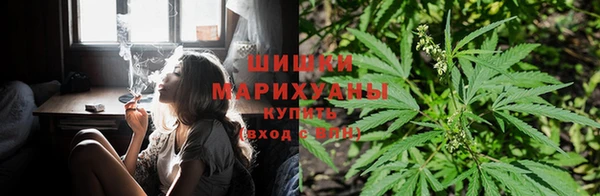 каннабис Абаза