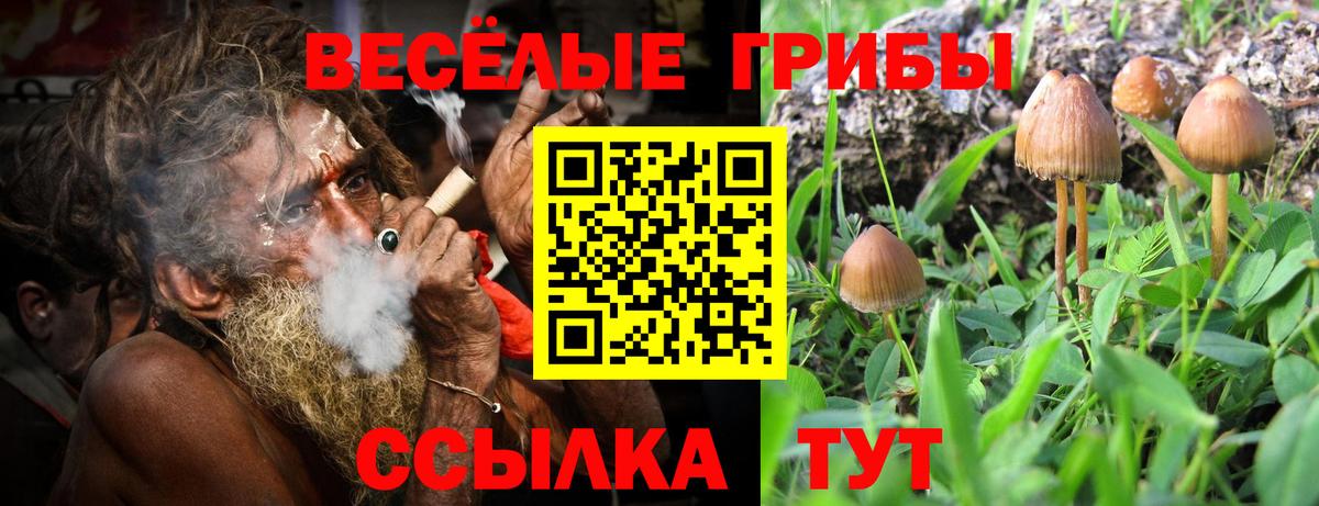 Галлюциногенные грибы GOLDEN TEACHER  Вход с VPN  Зеленокумск  Псилоцибиновые грибы Psilocybine cubensis 